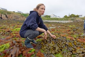 ondine weet alles van zeewier bij ouessant