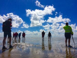 waddenzee wandelen over zeebodem