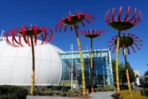 sonic blooms seattle