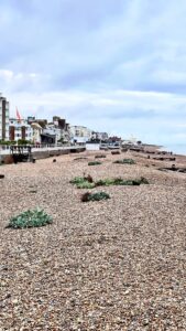 bexhill