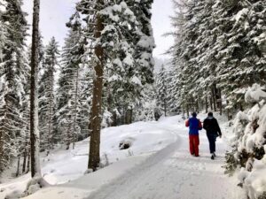 stubai