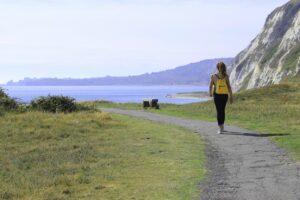 white cliffs country samphire hoe