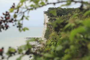 white cliffs country 
