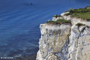 white cliffs country 