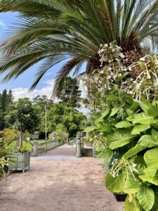 leiden hortus botanicus