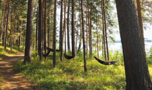 Wellness in Finland