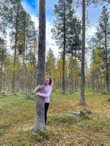 Boomknuffelen in Fins Lapland tijdens ruska (herfst).