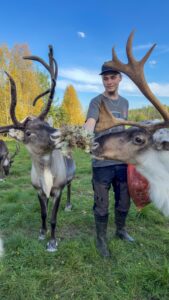 rendierhouder Juho met zijn rendieren in de buurt van Rovaniemi.