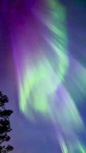 Aurora Borealis oftewel het Noorderlicht tijdens Ruska (herfst) boven Fins Lapland