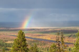 Regenboog in Fins Lapland tijdens ruska (herfst).